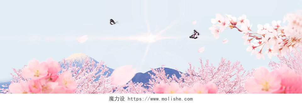 520情人节唯美花朵樱花浪漫桃花花瓣粉色海报背景梦幻